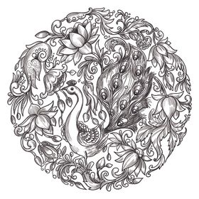 孔雀线稿素描速写