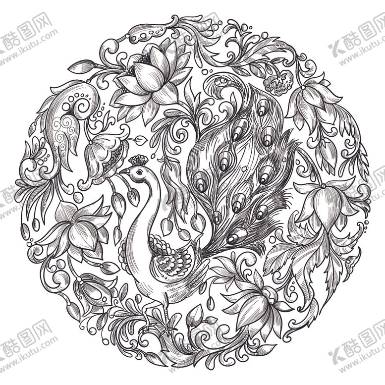 编号：15087309282233595192【酷图网】源文件下载-孔雀线稿素描速写