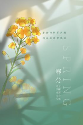 春分二十四节气海报