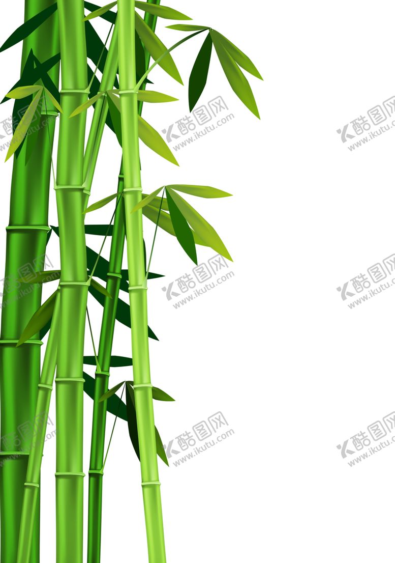 编号：62571509241525419065【酷图网】源文件下载-竹子