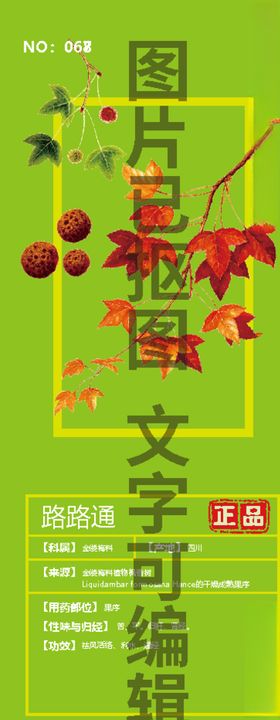 路路通