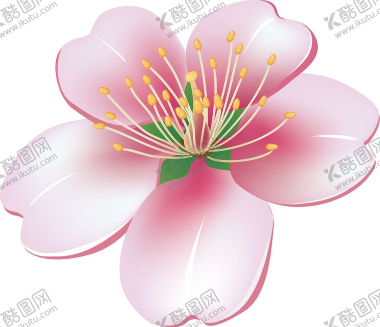 编号：27778906271900546509【酷图网】源文件下载-鲜花素材