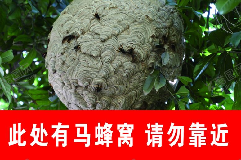 编号：51155010060656422164【酷图网】源文件下载-马蜂窝