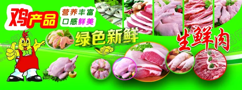 编号：17383601190703072726【酷图网】源文件下载-鸡产品