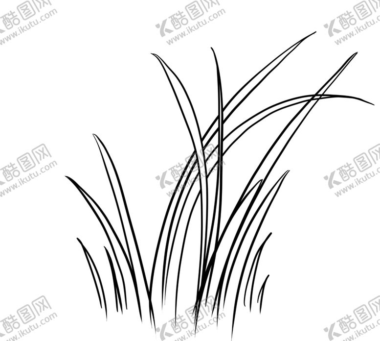 编号：14328810211648302867【酷图网】源文件下载-兰花