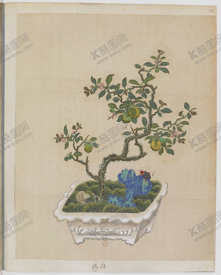 编号：16798104210251337855【酷图网】源文件下载-盆景花鸟