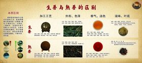 普洱的区别