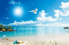 海边沙滩海星壁纸