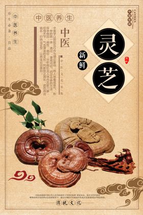 中国风中药文化展板