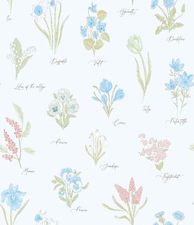 L-25-JD-090-0827小样色-蓝