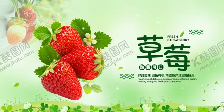 编号：91884304221618151655【酷图网】源文件下载-草莓展板