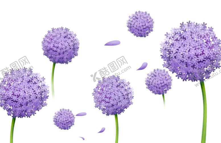 编号：22212810301101479527【酷图网】源文件下载-蒲公英