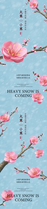 小寒大寒立冬小雪大雪节气海报