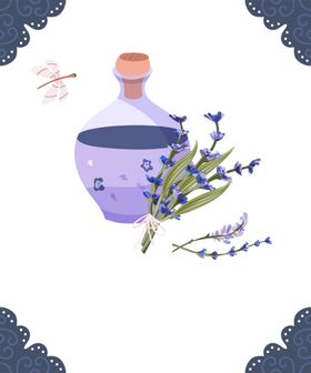 绿色家庭植物