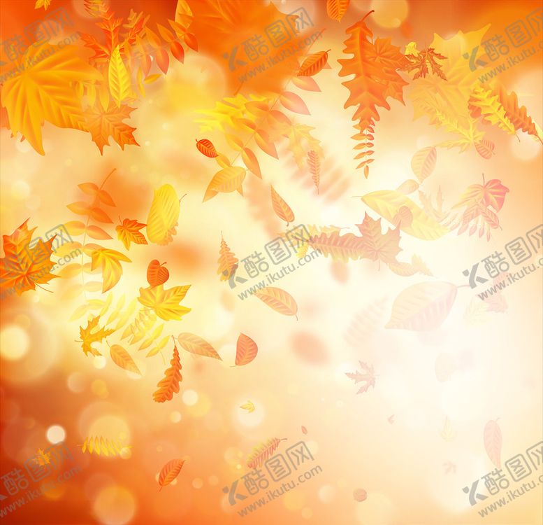 编号：34261110052004566851【酷图网】源文件下载-枫叶背景