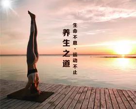 瑜伽海报运动养生普拉提