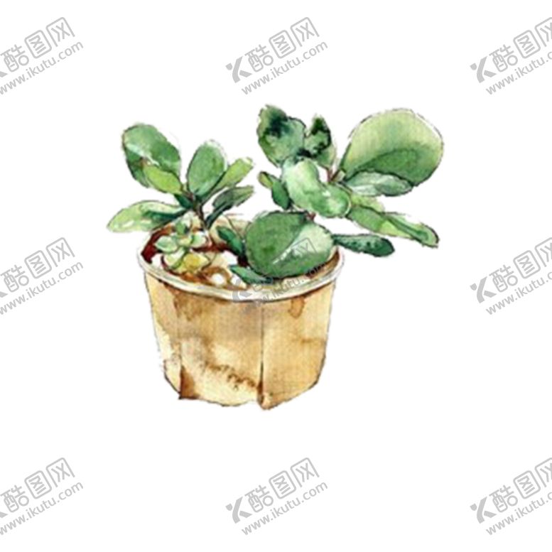 编号：64803301311054179563【酷图网】源文件下载-png格式植物花卉手绘素材