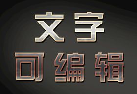 哑光哑面金属字艺术字