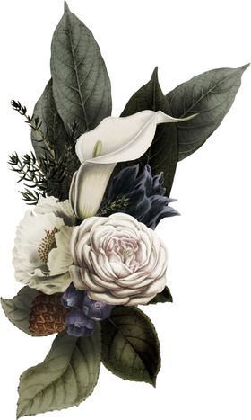装饰花png