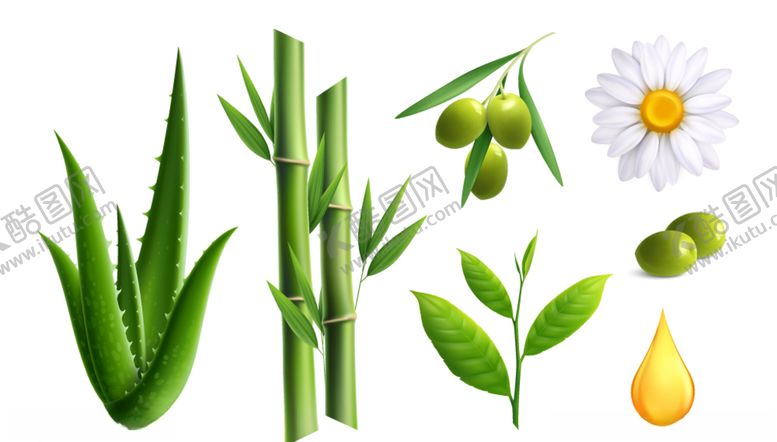 编号：59163805120215564408【酷图网】源文件下载-植物花卉素材