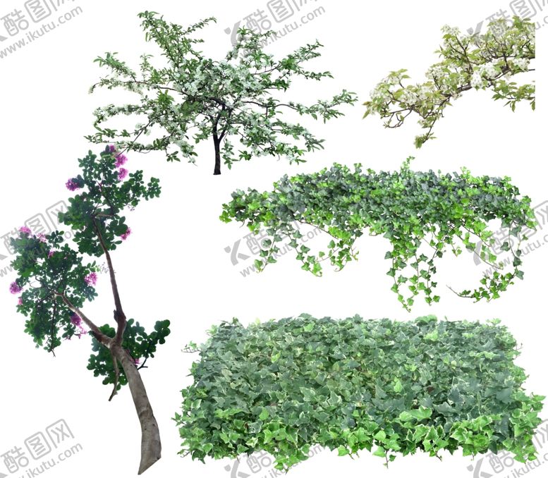 编号：13731406142350076315【酷图网】源文件下载-鲜花花卉绿植红花绿叶