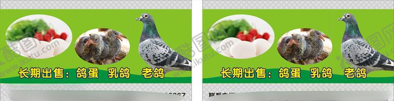 编号：13408507052107067222【酷图网】源文件下载-鸽子名片