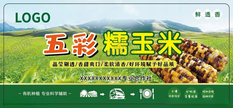 编号：16170312091805069170【酷图网】源文件下载-玉米标签
