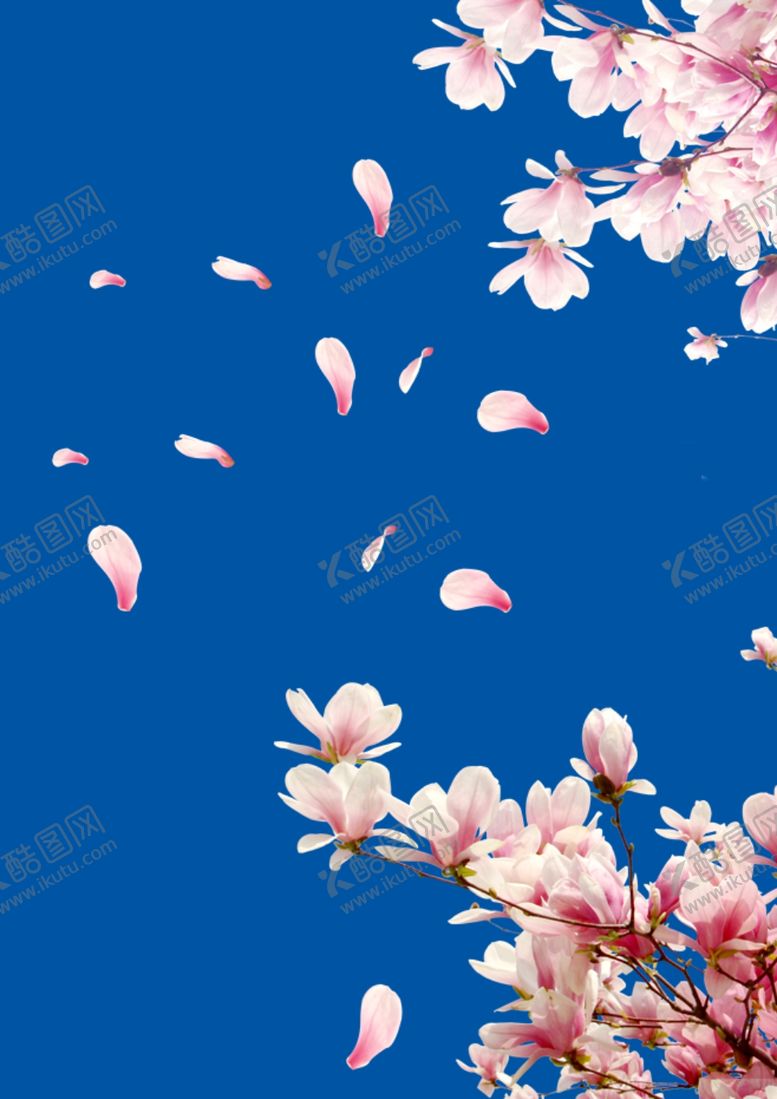 编号：79163909251919261106【酷图网】源文件下载-桃花