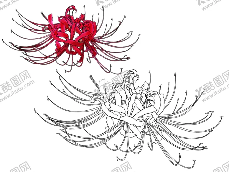 编号：74450809120924507382【酷图网】源文件下载-彼岸花曼珠