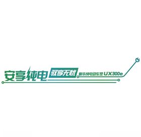 安享纯电驭享无忧矢量