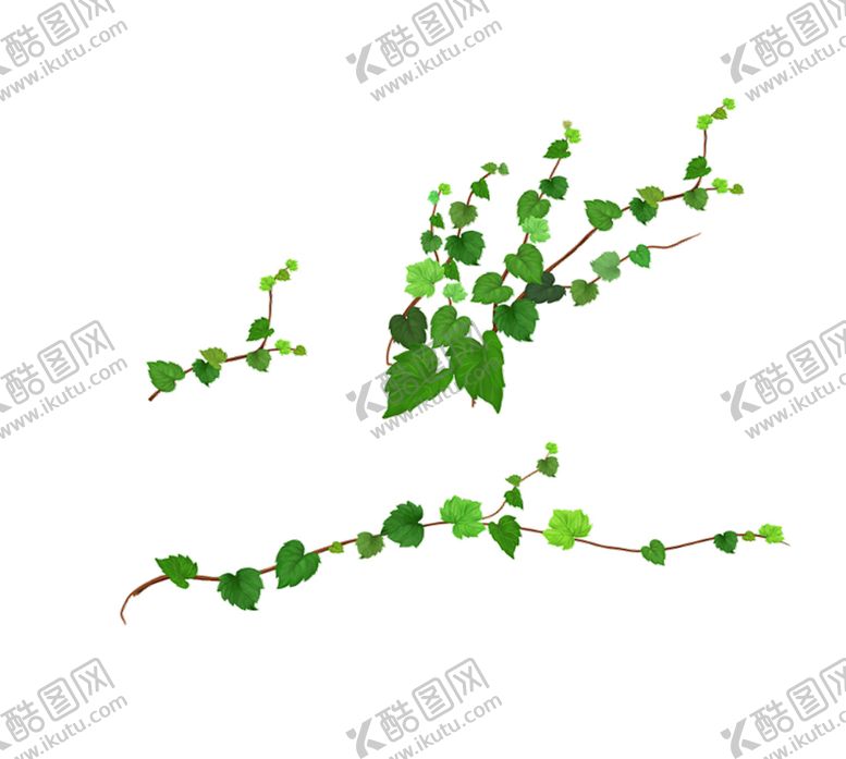 编号：73242410010106458989【酷图网】源文件下载-绿色相框