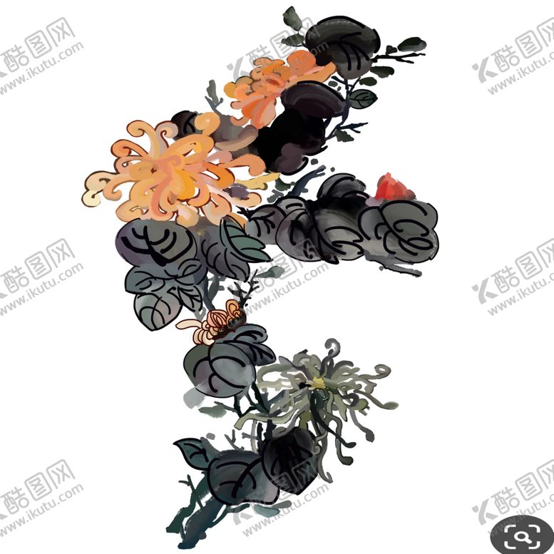 编号：34058110091821016750【酷图网】源文件下载-菊花素材