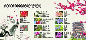 赏花指南