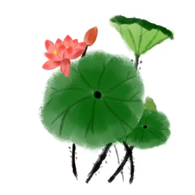 荷花元素鲜材手绘装饰朵材