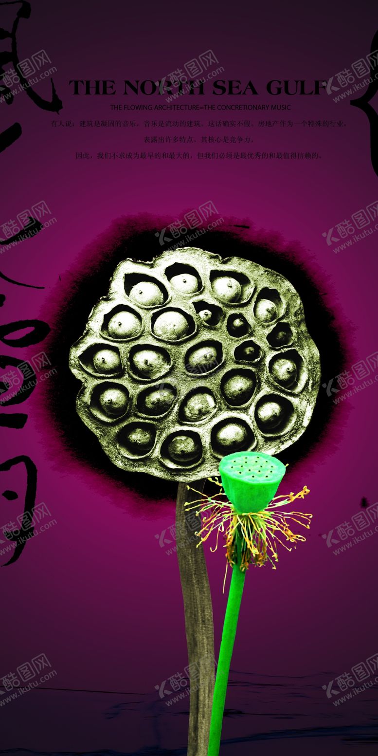 编号：21210510111307468045【酷图网】源文件下载-荷花果实花辨与果实荷花花蕊