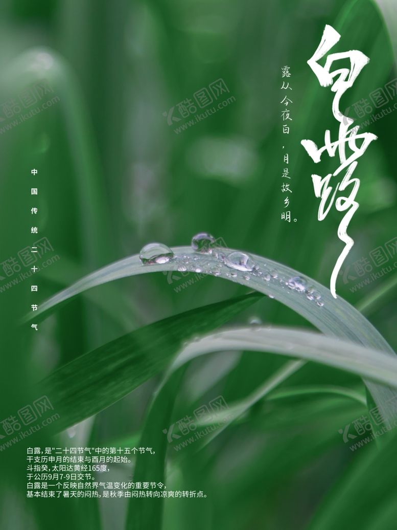 编号：36901809252128095429【酷图网】源文件下载-白露