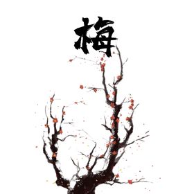梅花素材