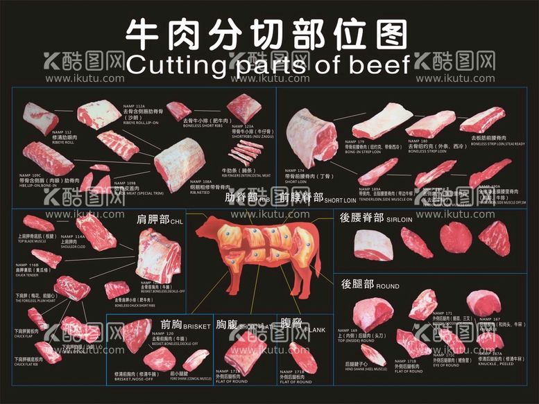 编号：62726112020928305230【酷图网】源文件下载-牛肉