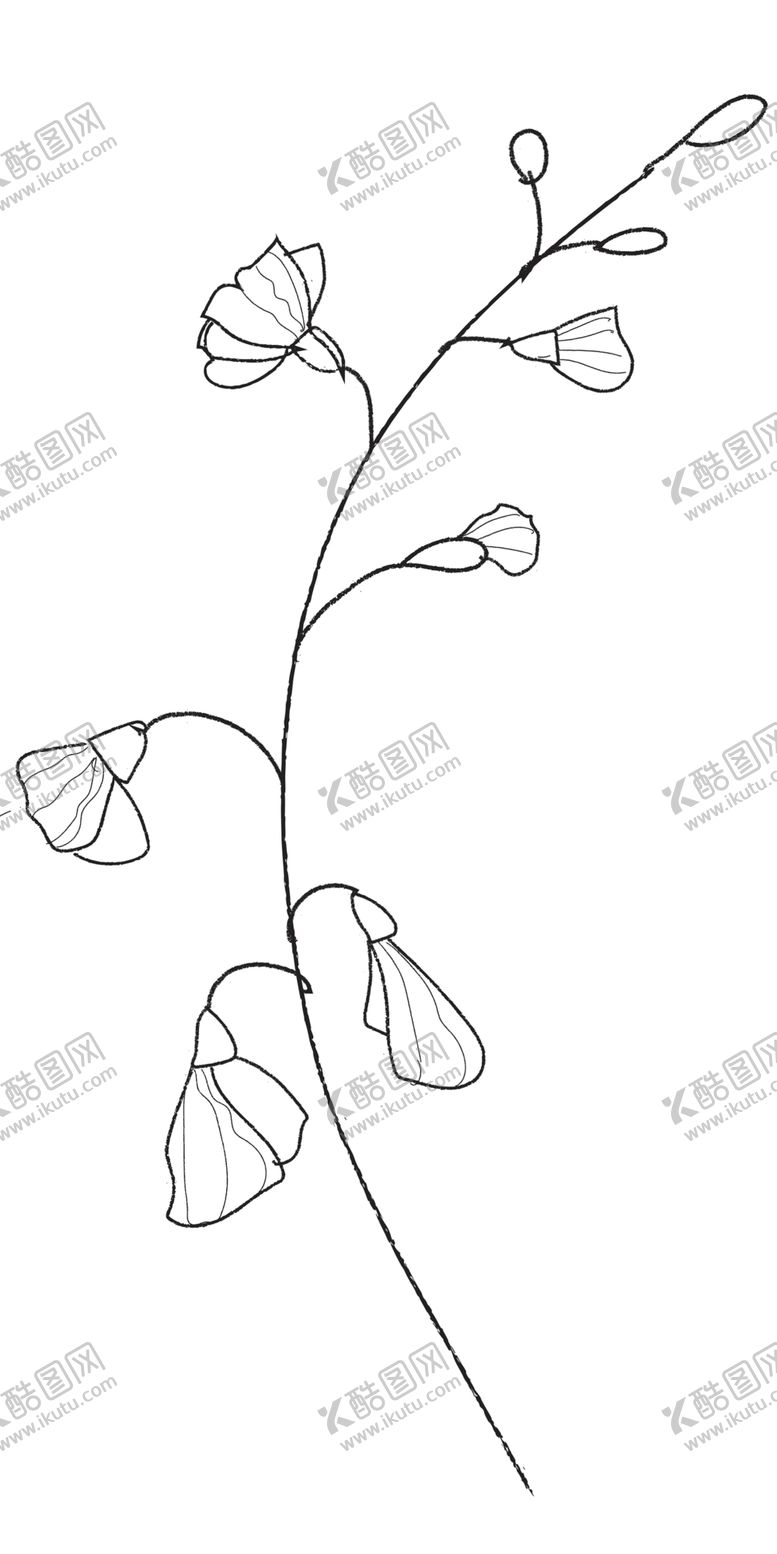 编号：32194305042112088763【酷图网】源文件下载-手绘植物花卉