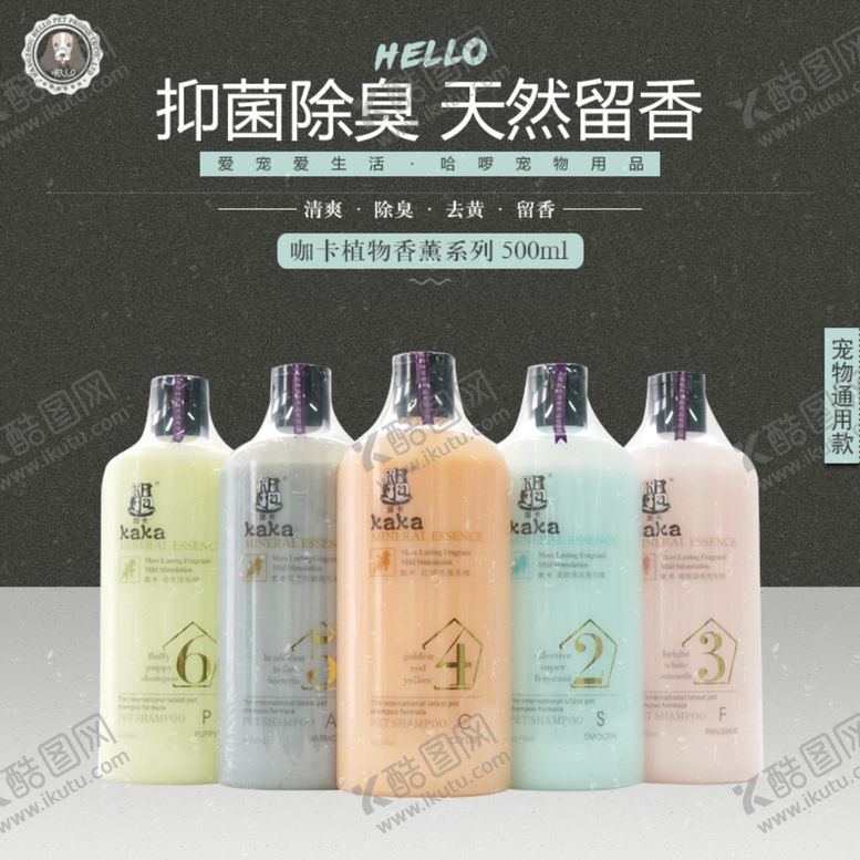 编号：42236610261634593156【酷图网】源文件下载-宠物用品