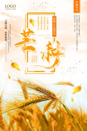 芒种海报