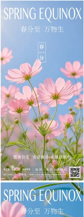 春分节气海报