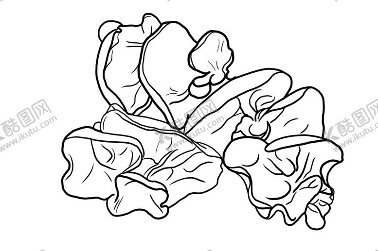 编号：70657710310533572412【酷图网】源文件下载-木耳