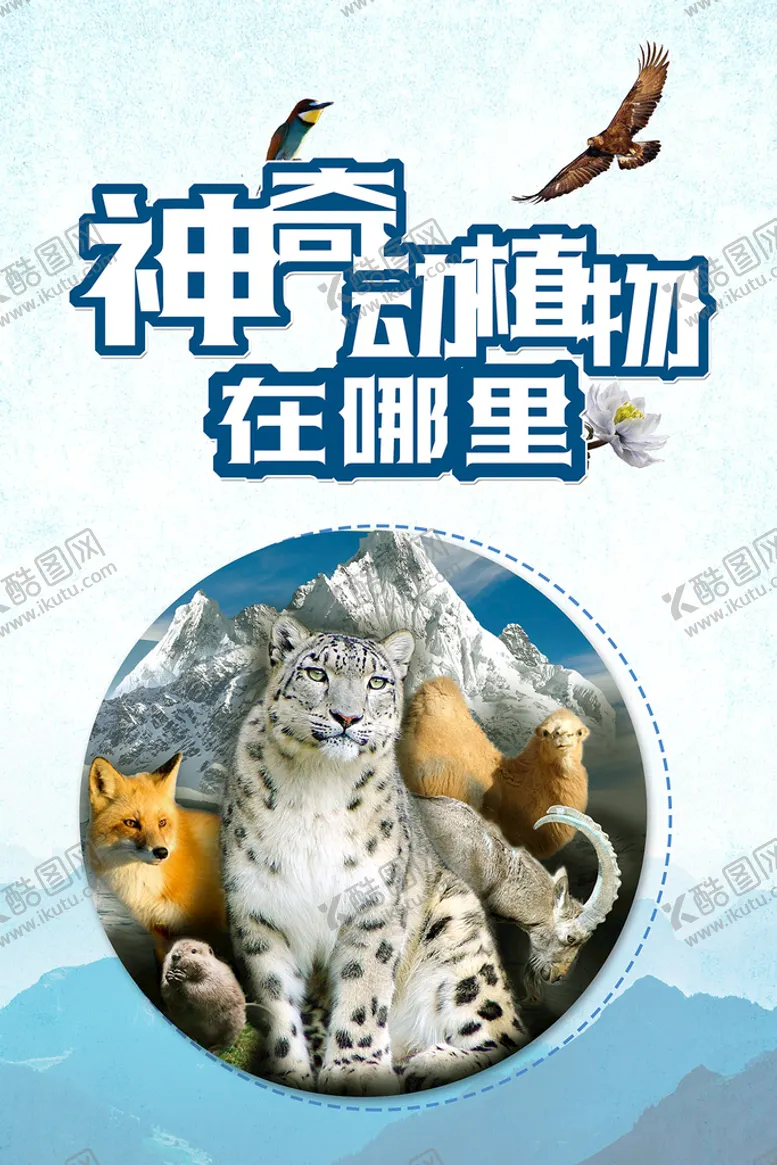 编号：72138010181950311461【酷图网】源文件下载-神奇动物在哪里