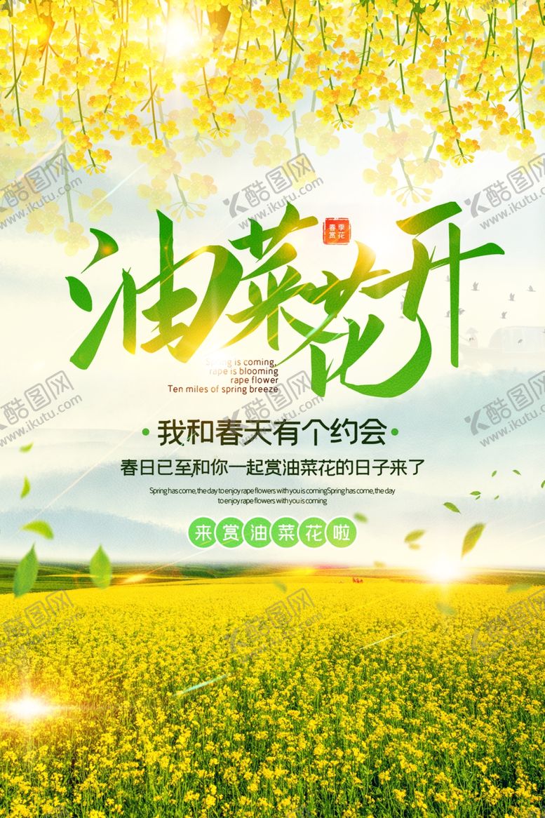 编号：11488003220307103434【酷图网】源文件下载-油菜花开