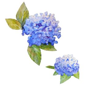 简约手绘花瓣背景