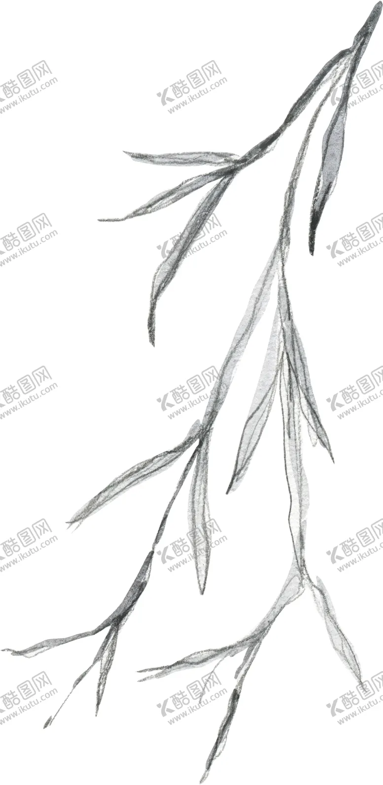 编号：33727707010354092106【酷图网】源文件下载-彩绘枝叶