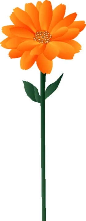 写实花卉鲜唯美插图手绘