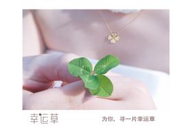 jpg图片手捧四叶草
