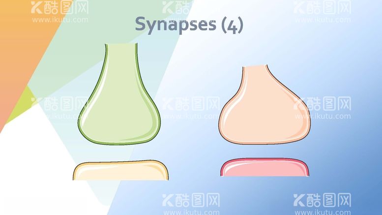 编号：57394612201308257062【酷图网】源文件下载-神经学